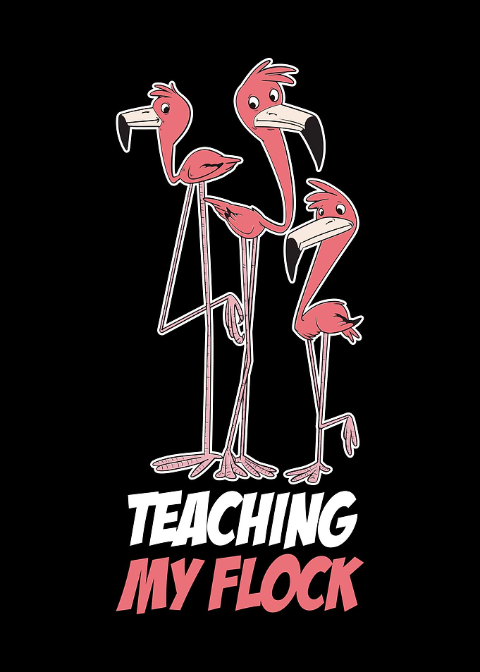 Teaching My Flock
