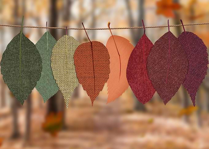 Autumn Vibes