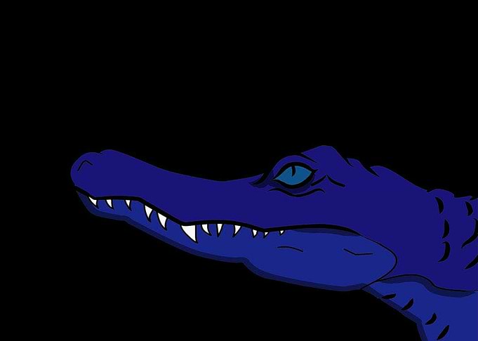 Blue Croc