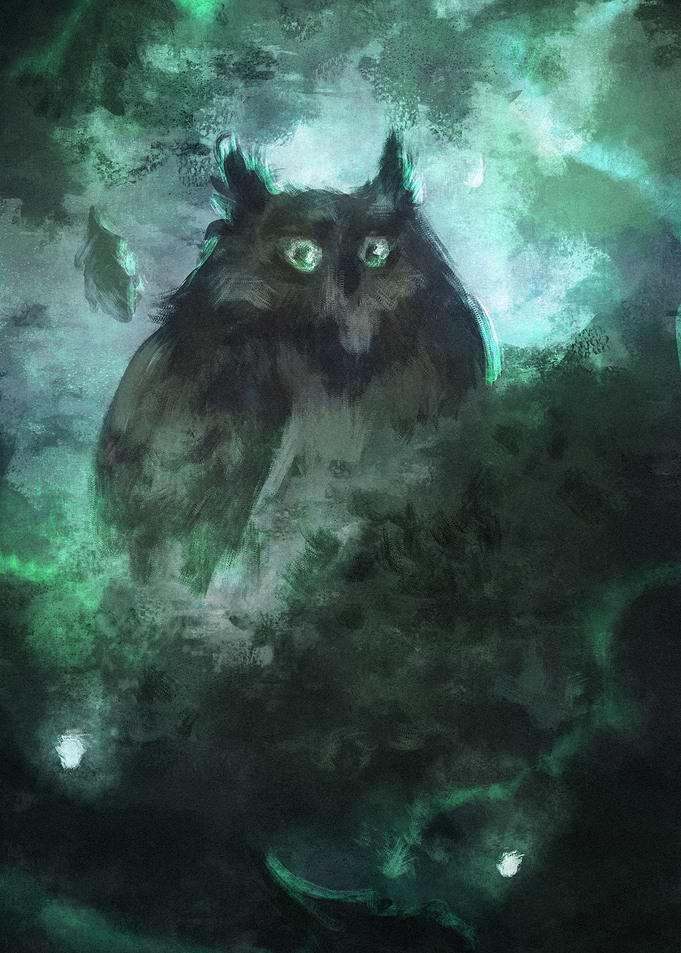 THE OWL