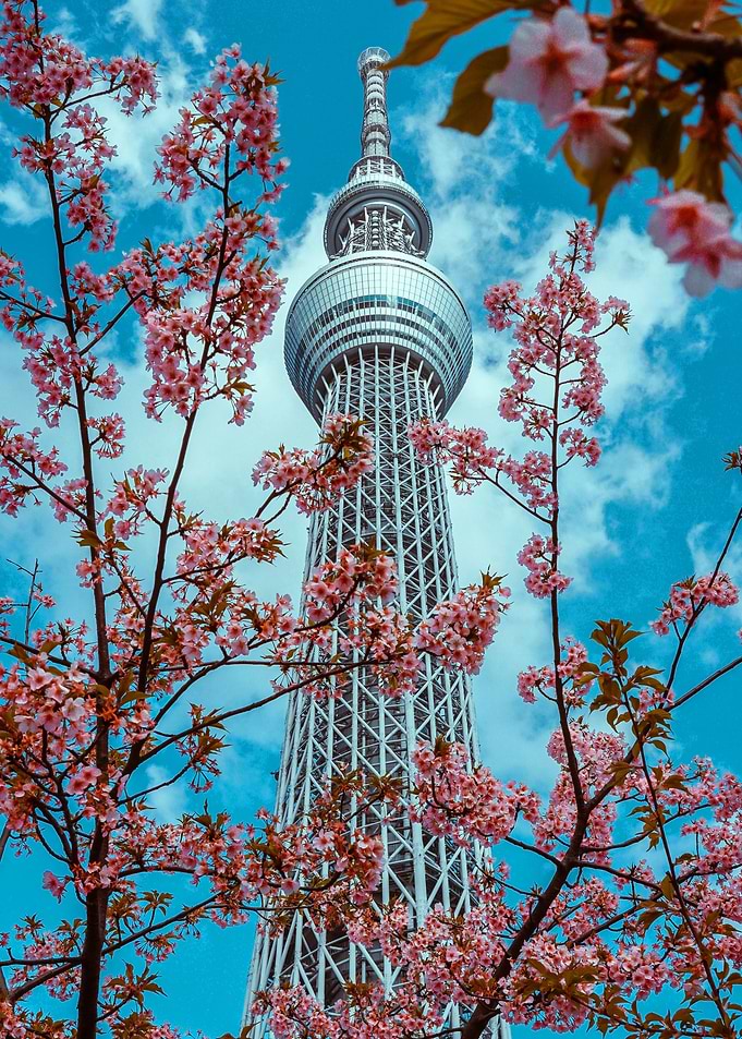 Tokyo
