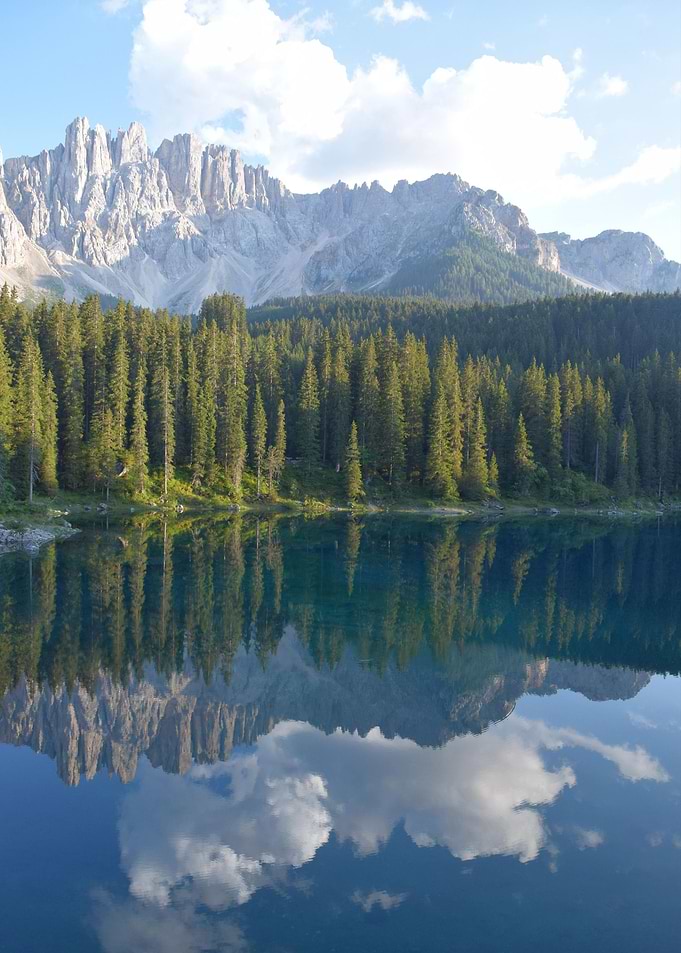 Lakeside Reflected