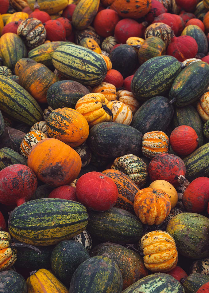Autumn Vibes