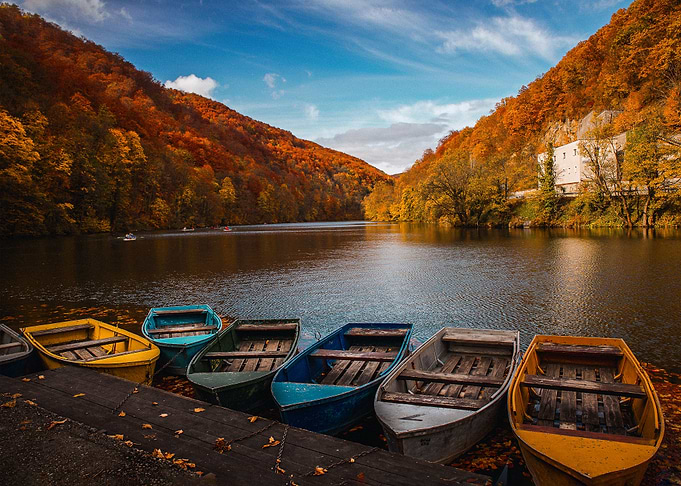 Autumn Vibes