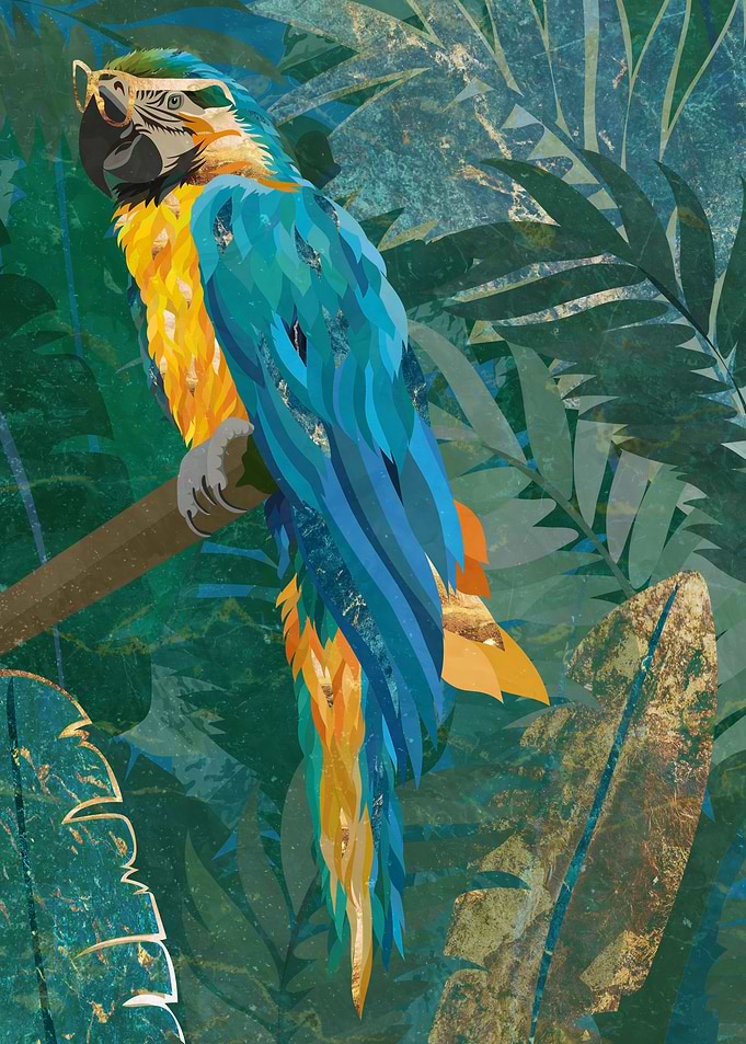 Macaw Jungle Meditation