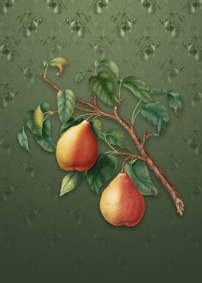 Vintage Wild European Pear
