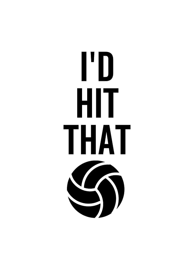 Volleyball Id Hit That