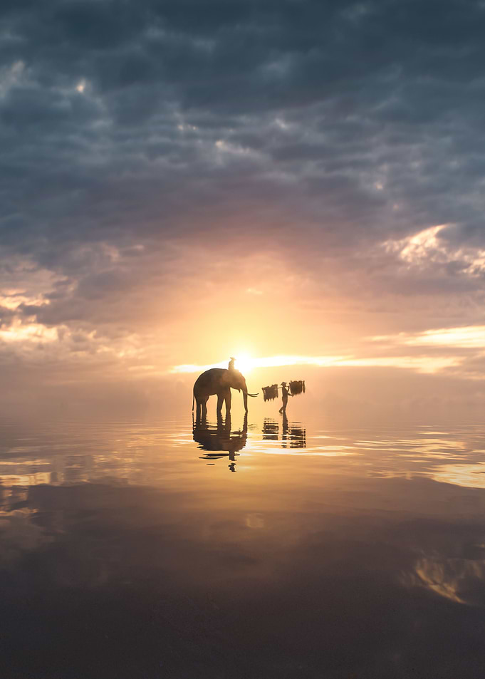 Mirror of Elephant Farmer