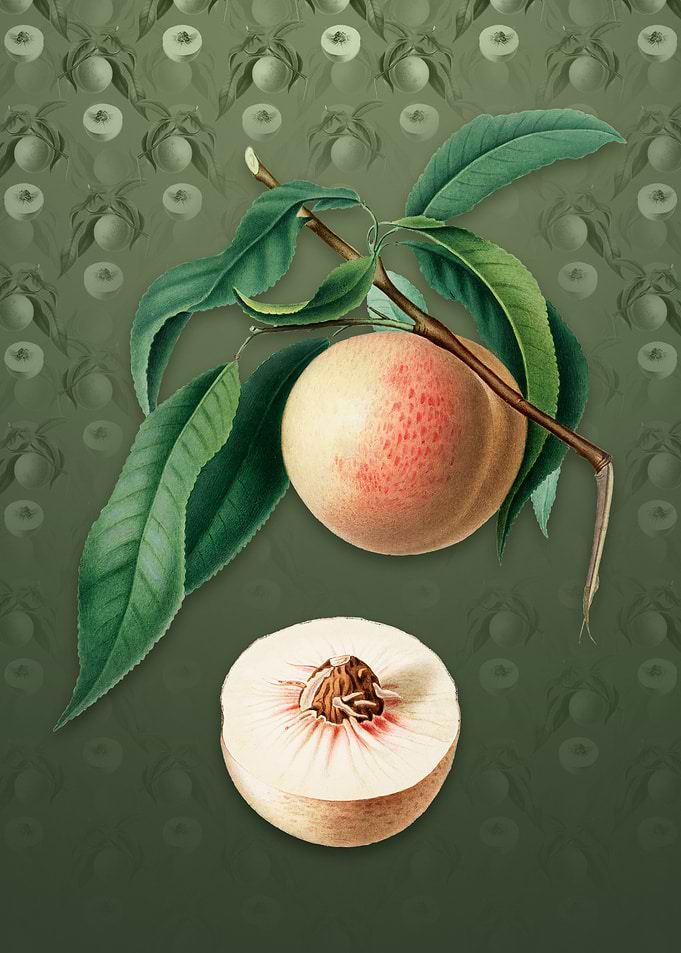 Peach on Lunar Green