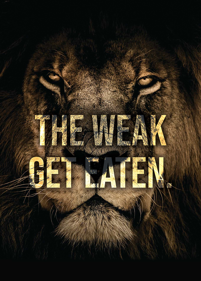 The Weak Get Eaten