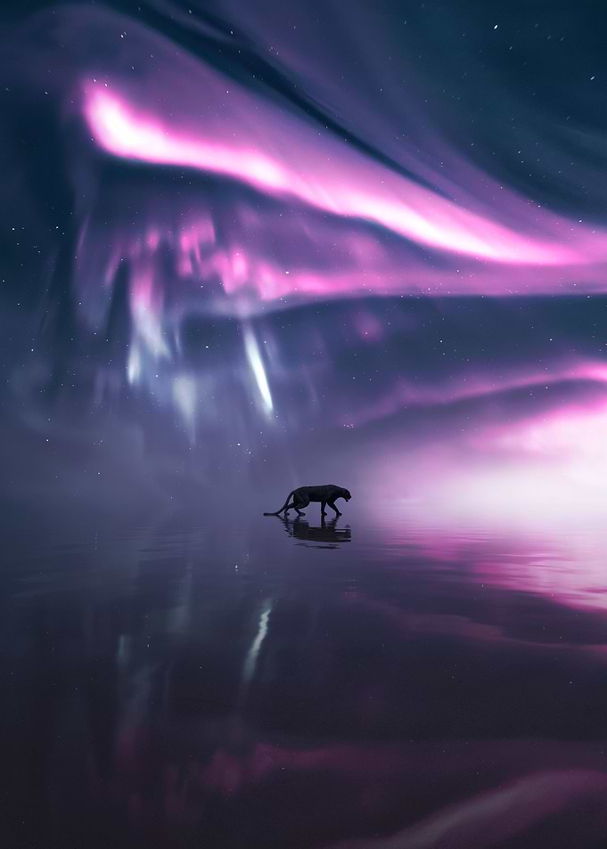 Mirror of Black Panther
