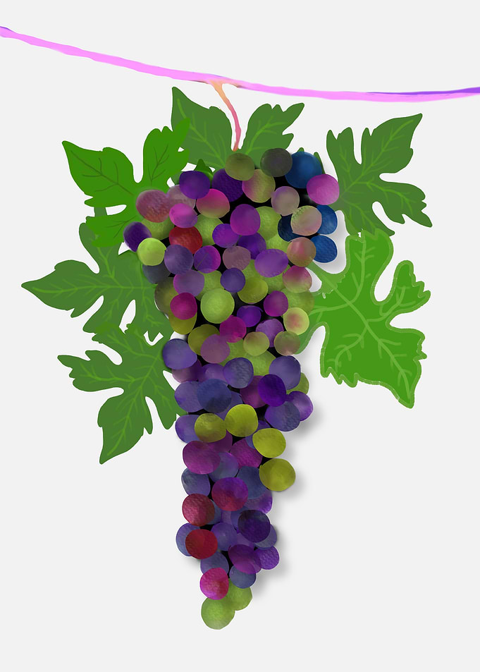 Grapes Fruits Food