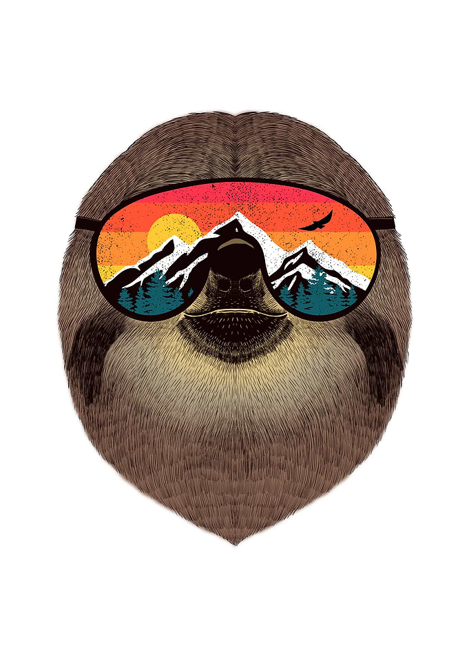 Nap Travel Sloth Adventu