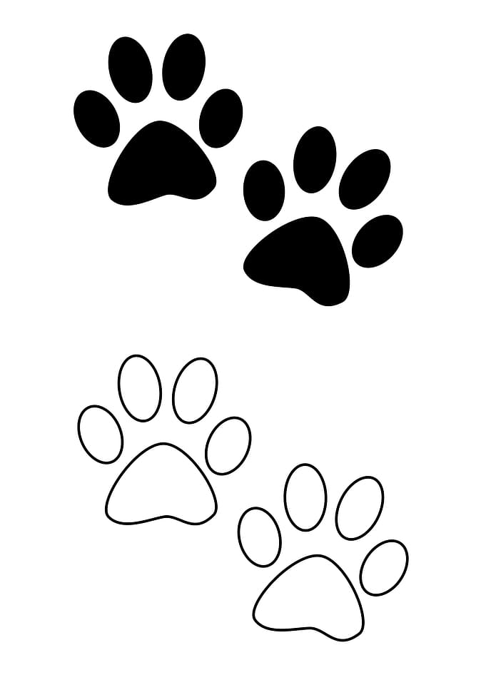 Paw Print