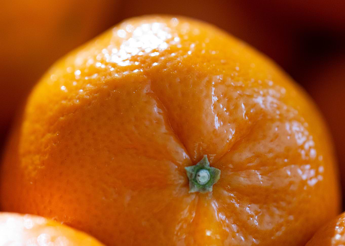 macro orange