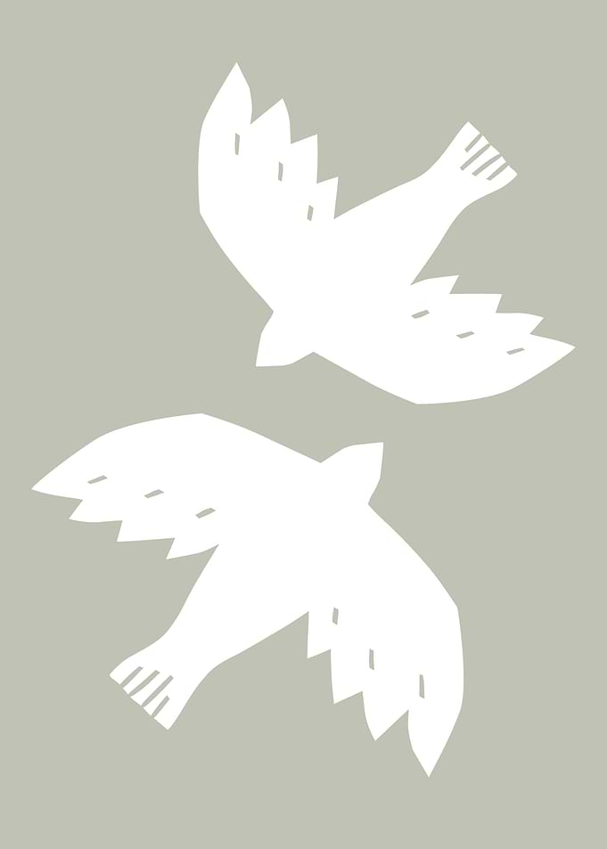 Dove Painting