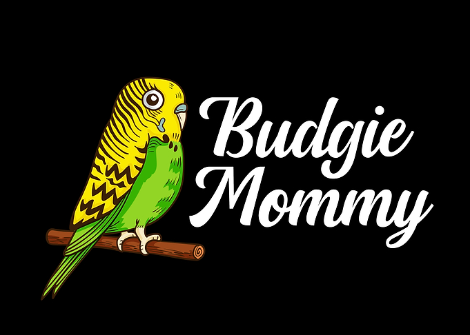 Budgie Gift Women Bird