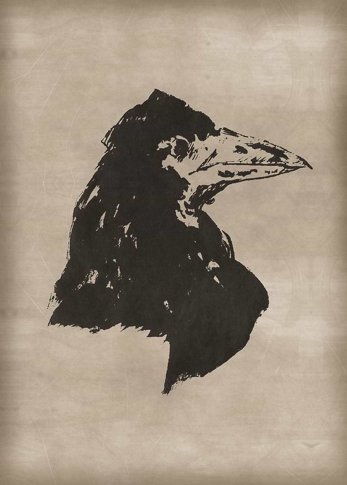 Black Raven 1
