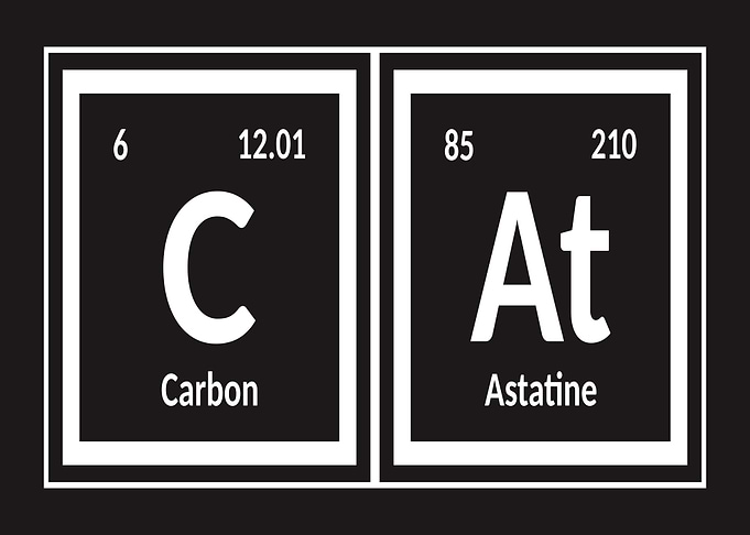 Element of Cat