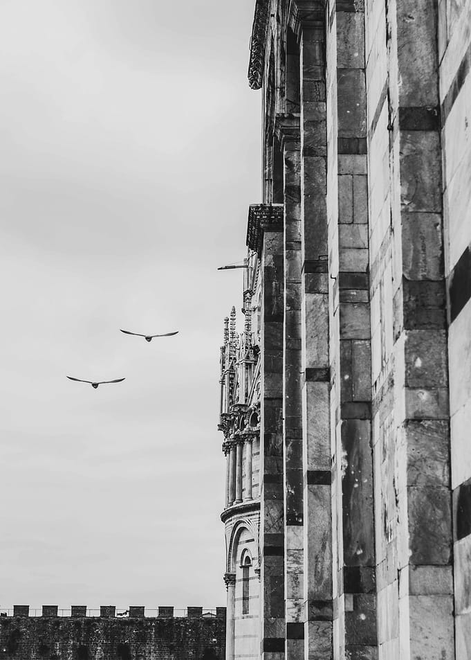 BW 5