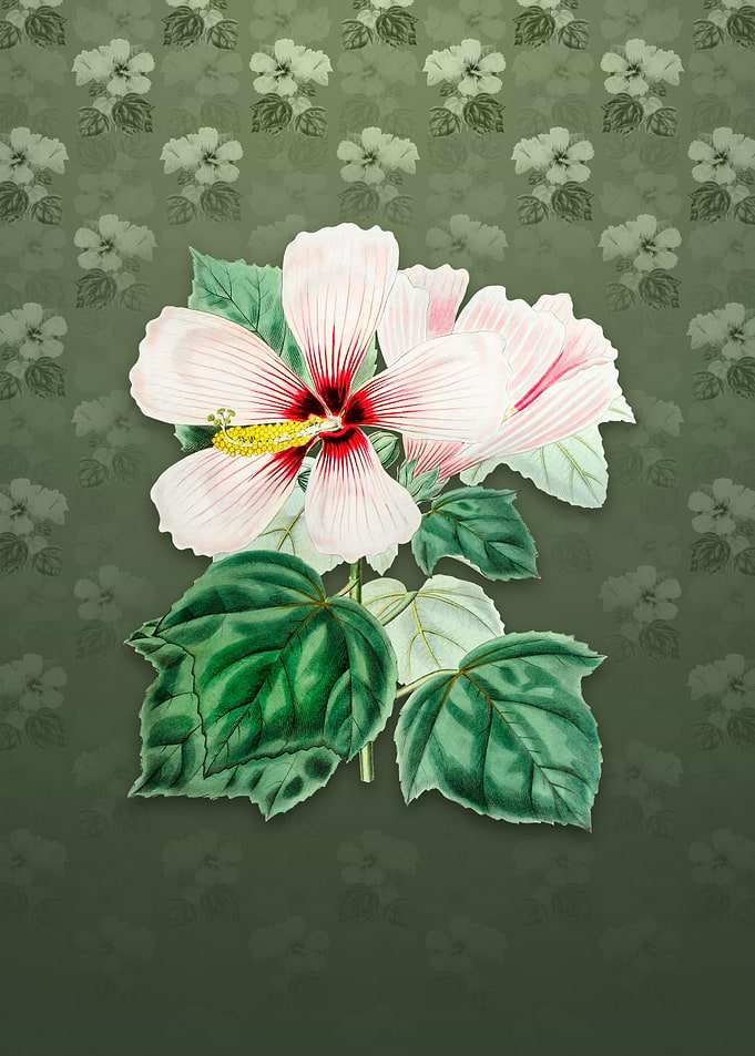 Vintage Marsh Hibiscus