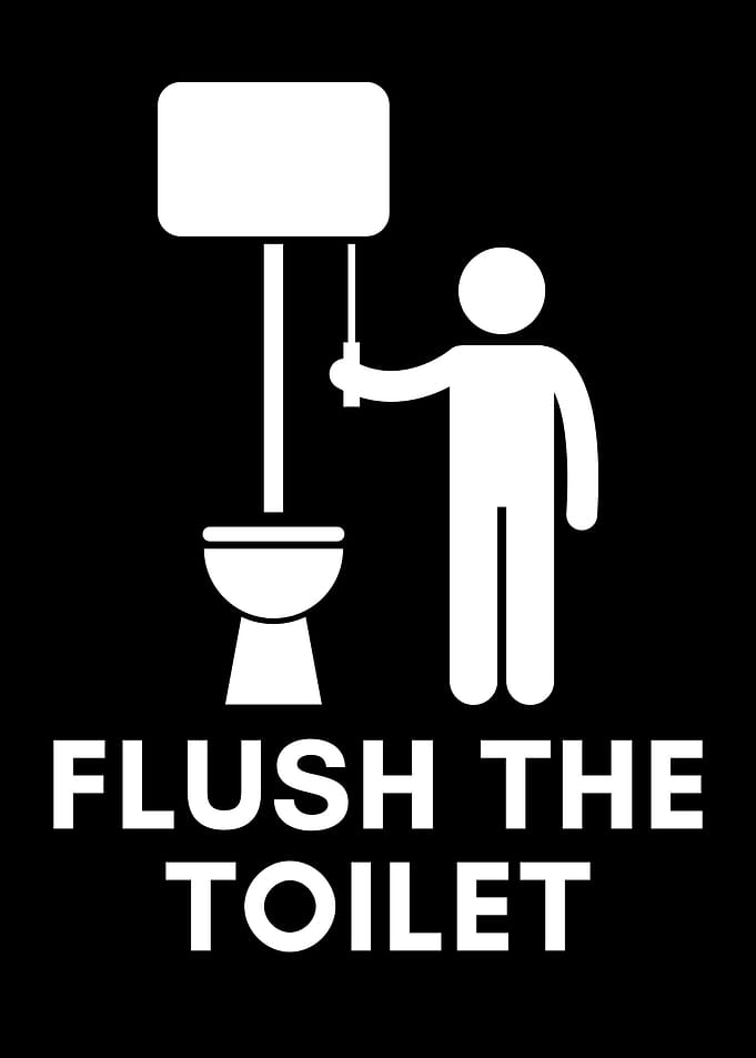 Flush The Toilet
