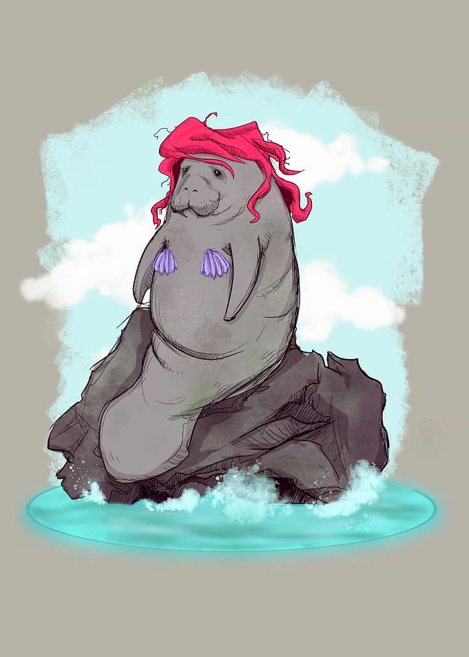 The Little Manatee