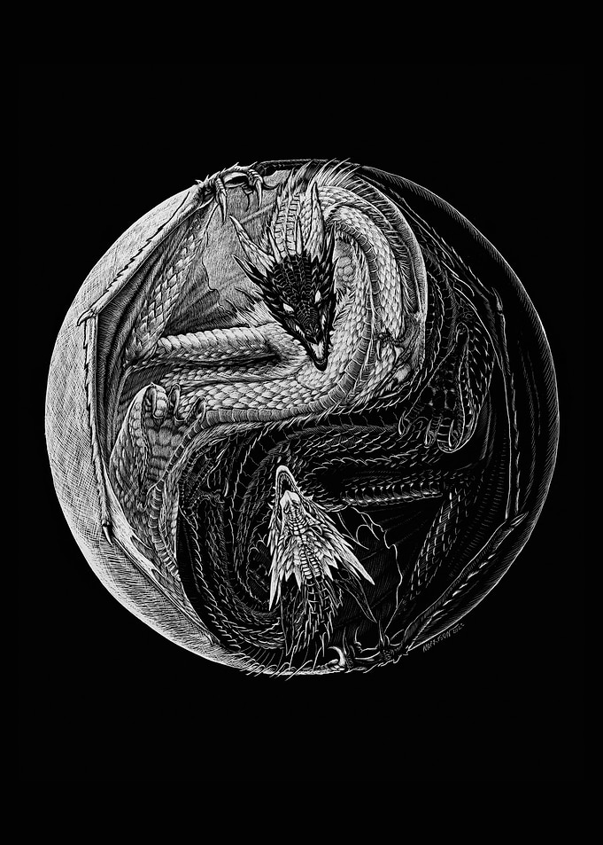 Paradox Yin Yang