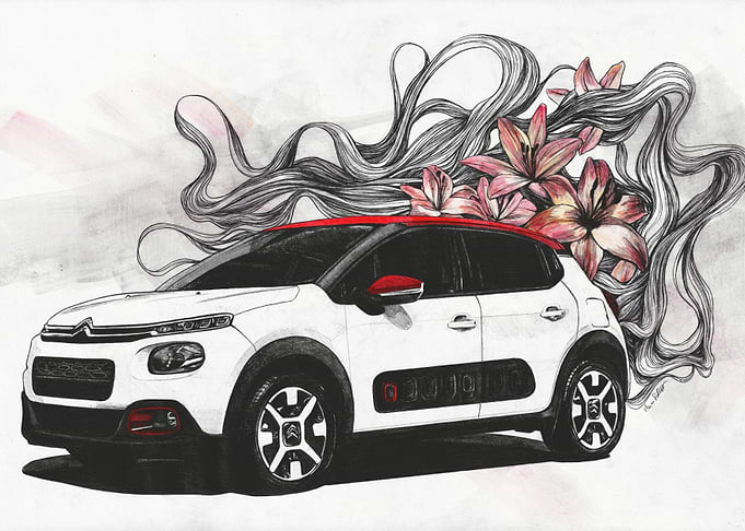 Cars Citroen C3