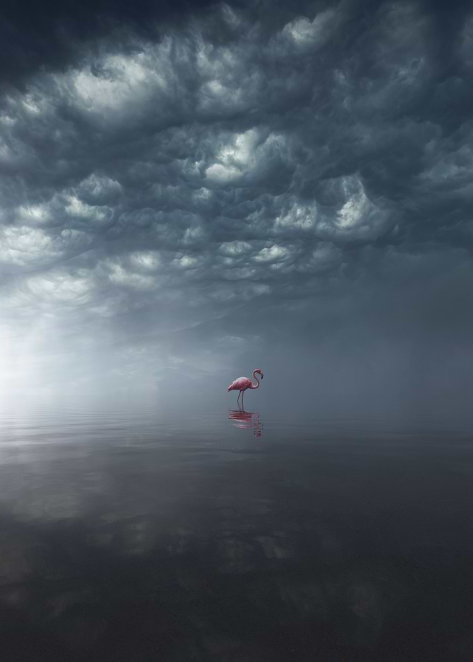 Mirror of Flamingo II