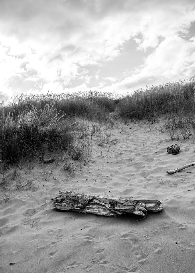 The Dunes