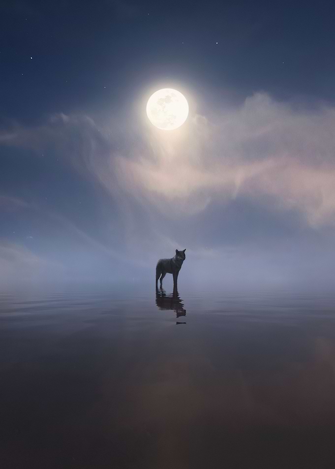 Mirror of Wolf