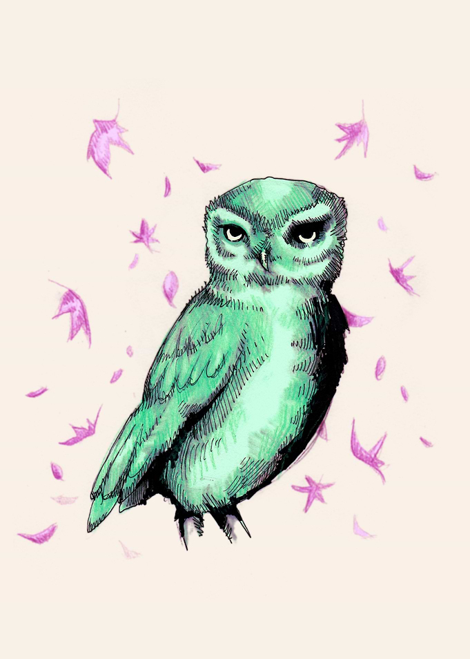 Green Owl