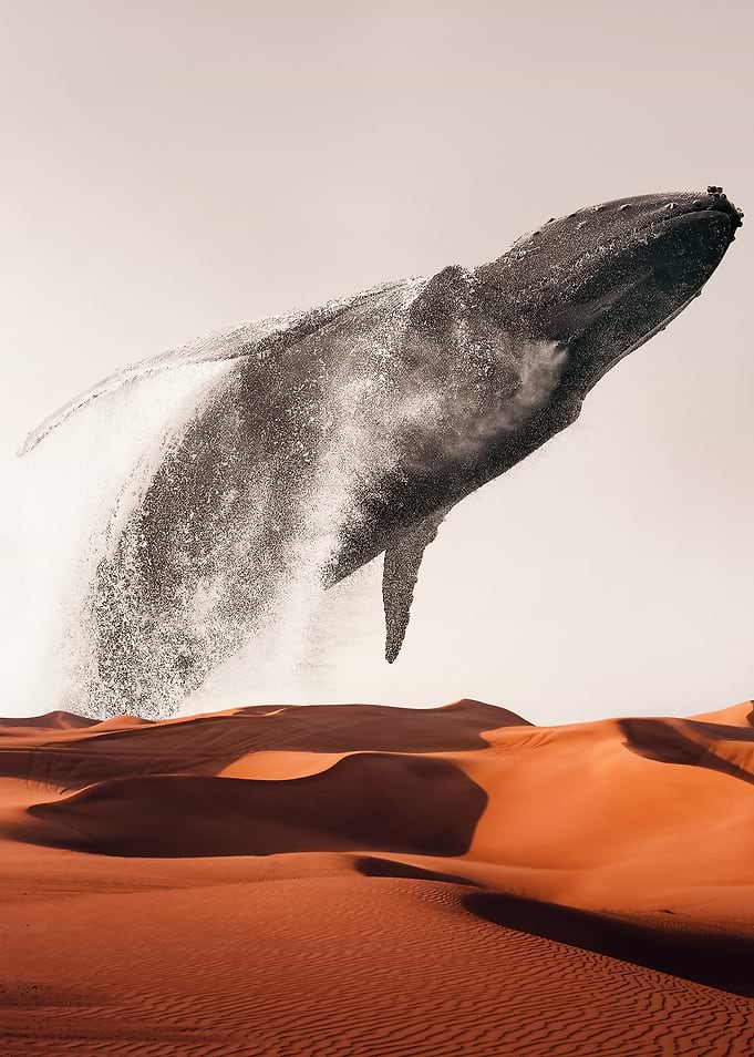 Marvellous Whale