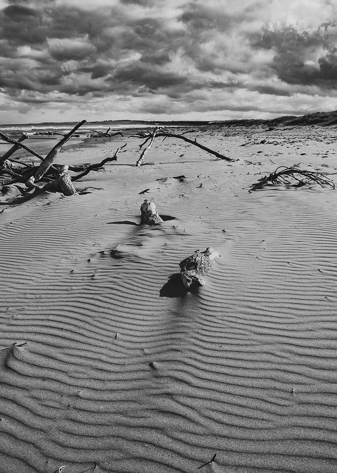 Patterns in the Sand