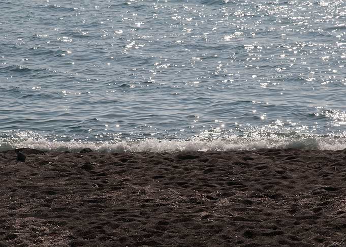 Sunkissed Ocean Dream 1