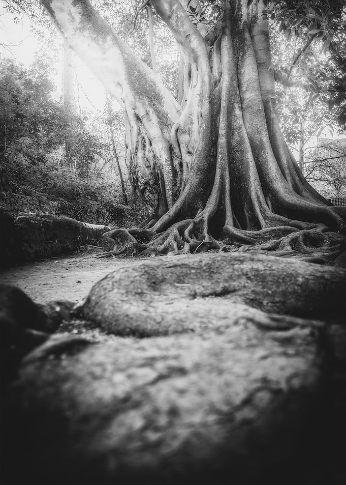 BW5
