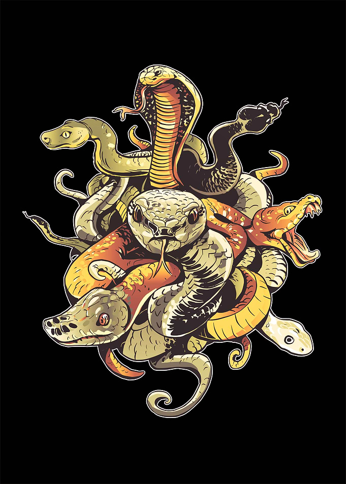 Colorful Snakes Art