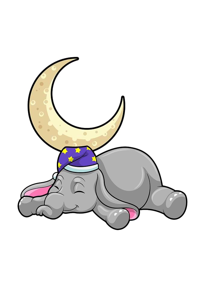 Elephant Moon
