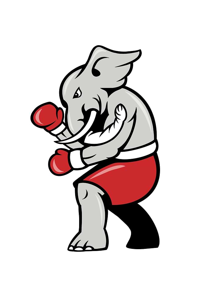 Elephant