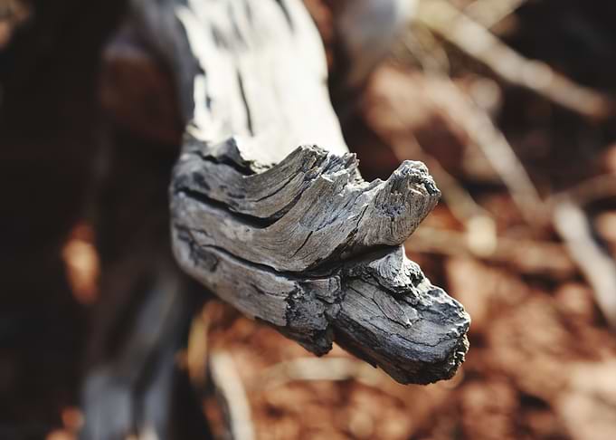 Broken Wood
