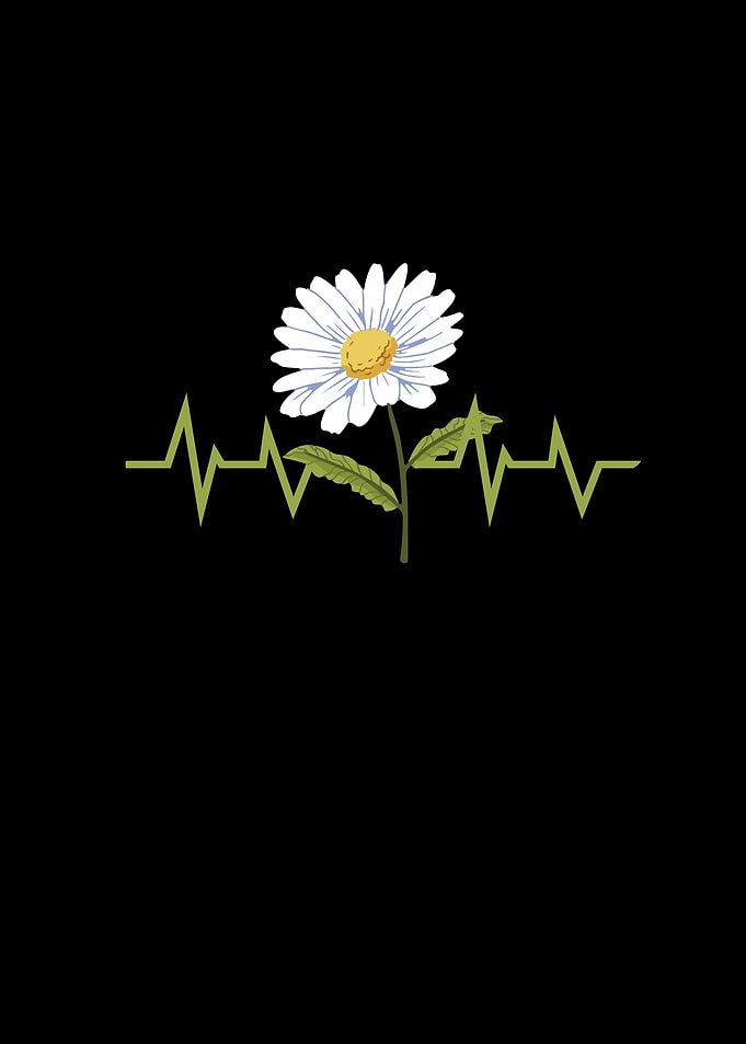 Daisy Heartbeat