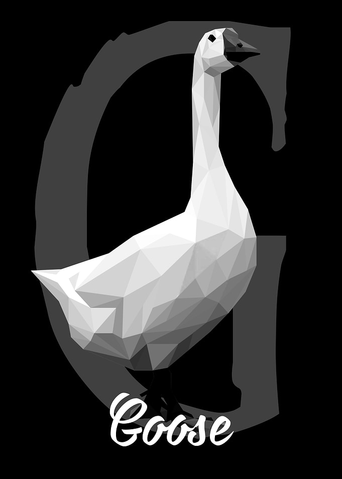 Goose