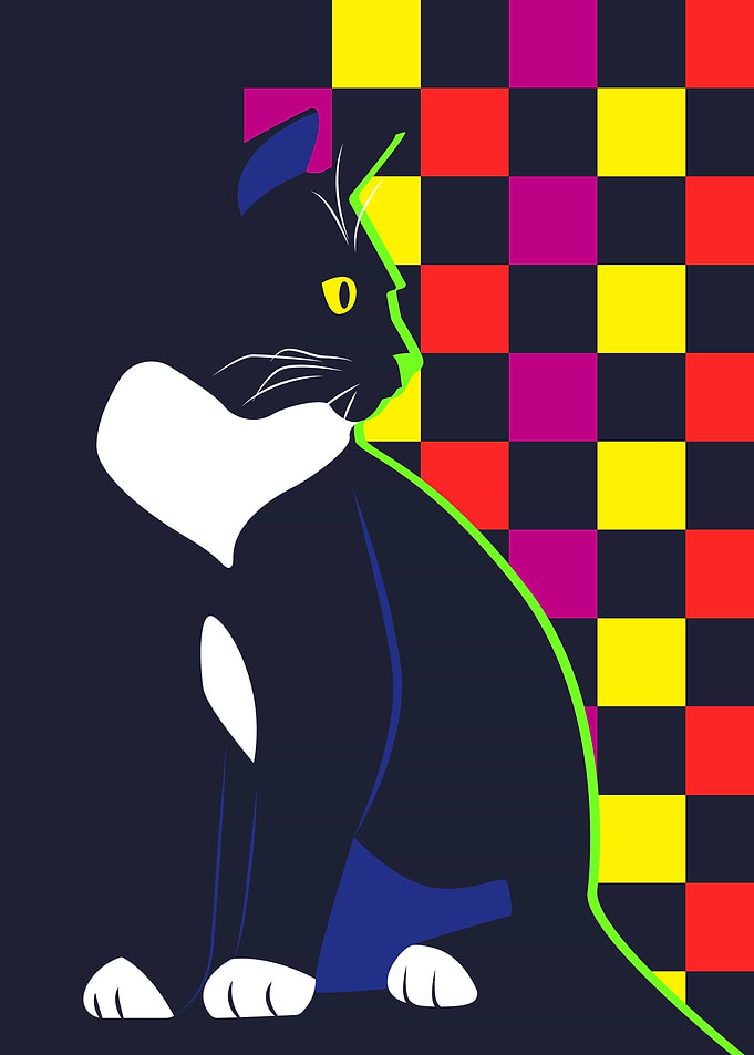 Disco cat