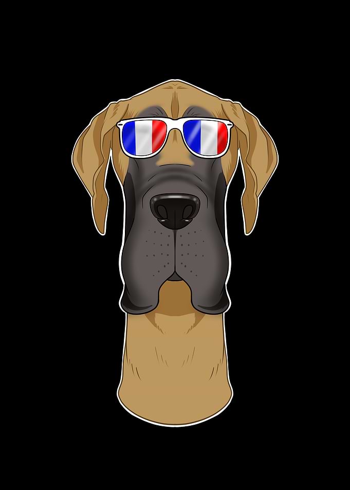 Great Dane France