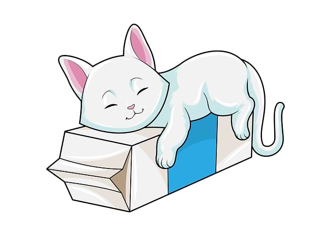 Cat Milk Box