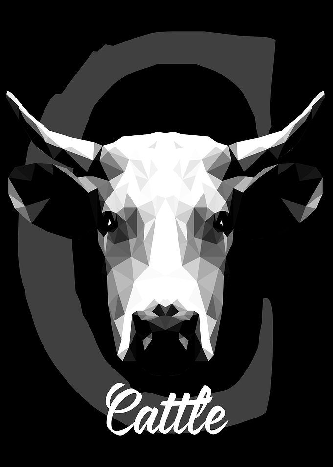 Cattle