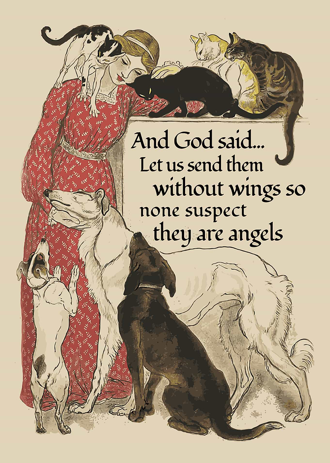 God Said Angel Girl