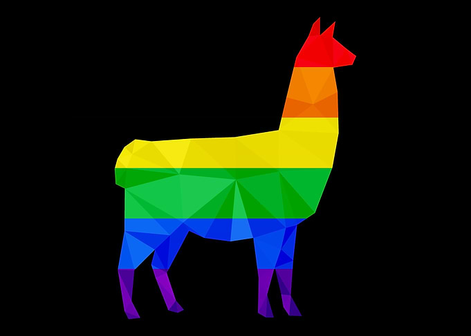 Colorful Llama LGBTQ Gay