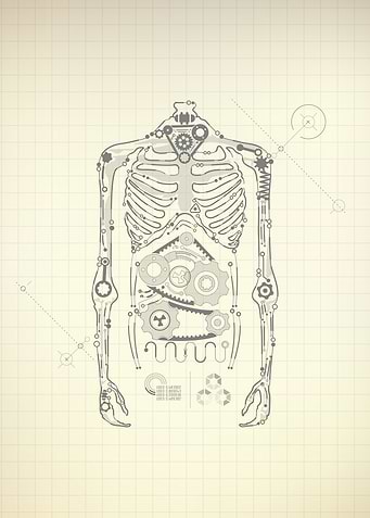 Skeleton Gear